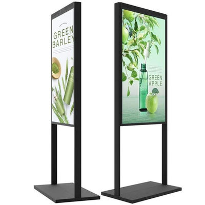 Bom preço Displays de vitrine digital resistentes ao enegrecimento de 55 polegadas on-line