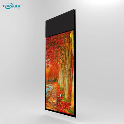 Bom preço Display de 43 polegadas Ultra Slim de dois lados on-line